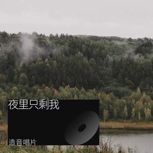夜里只剩我