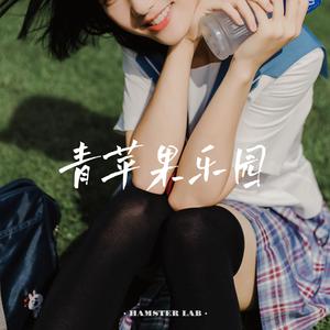 青苹果乐园 - 抖音请继续不完美的人生 (Disco Remix)