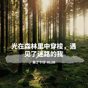 光在森林里中穿梭，遇见了迷路的我