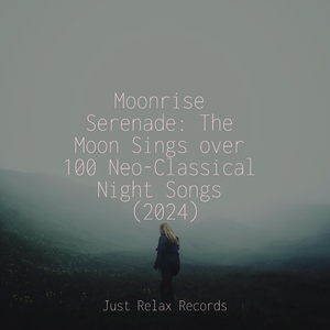 Lost in Wanderer's Lullaby