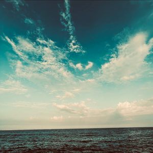 Swim