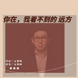 你在，我看不到的远方