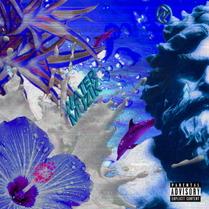 My Lifestyle Rockin' Pt. 2