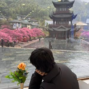 恋爱修炼曲