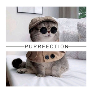 Your Kitten's Hobby to Listen