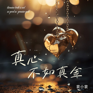 真心不如真金 (DJ版)