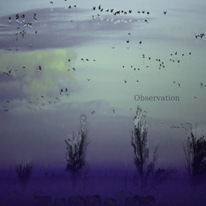 Observation