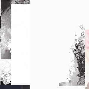 連れ去られた家畜のためのエチュード