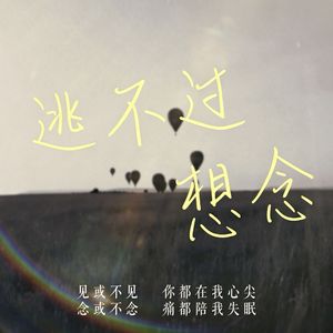 《逃不过想念》