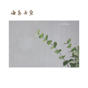 闲适 (古琴)