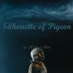 Silhouette of Pigeon