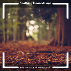 Zen Gardens in Moonlight