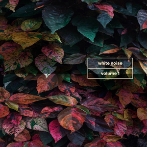 City Life Traffic Flow