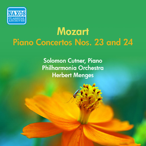 Piano Concerto No. 24 in C Minor, K. 491:I. Allegro (cadenza by C. Saint-Saens)