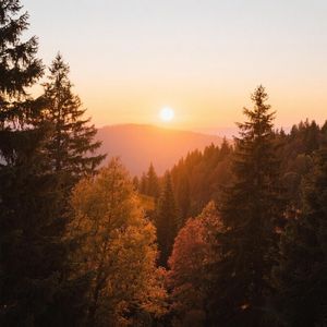 春风细语绕青丝