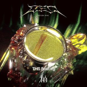 R.E.D-心境（TMS Melodic Dubstep Bootleg）