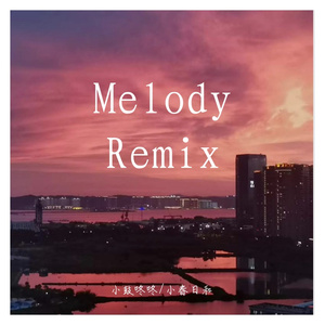 Melody Remix（翻自 吴海啸）