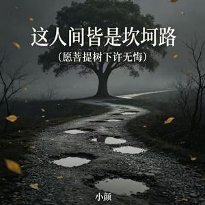 这人间皆是坎坷路（愿菩提树下许无悔）