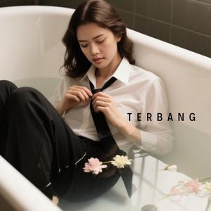 TERBANG
