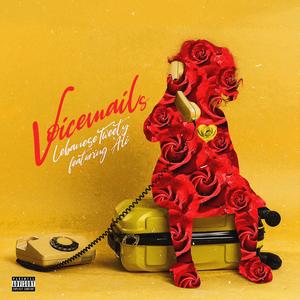 Voicemails (feat. Ali)