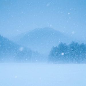 雪花飞舞时