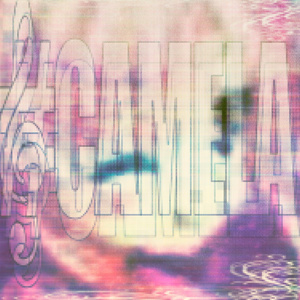 Camela