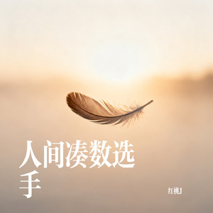 人间凑数选手