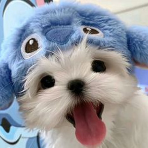 Waterfall Cucurrucucu Paloma (slowed)