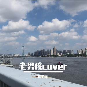 老男孩粗制滥造口琴版