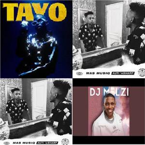 Amapiano 2022 Dance mix (Inhliziyo-Mas Musiq, Kethe Wena-Dj Melzi, Ku Shushu-Musa Keys, Kumnandi ebsuku-Mas Musiq, .....................................) (Halala Gogo Remix)