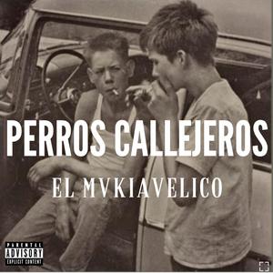 Perros callejeros