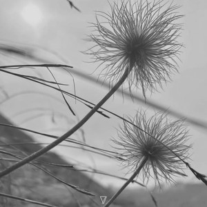 My Friend J (Pablo Bolivar Dream Dub)