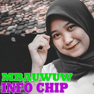Info Chip