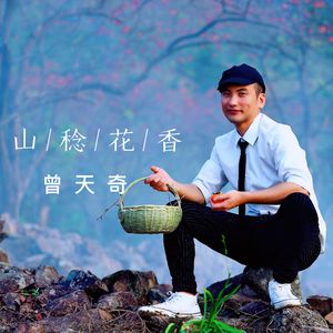 山稔花香 - 曾天奇