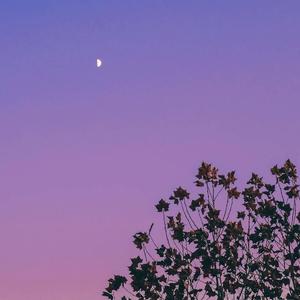 寂寞的恋人啊（cover莫文蔚）