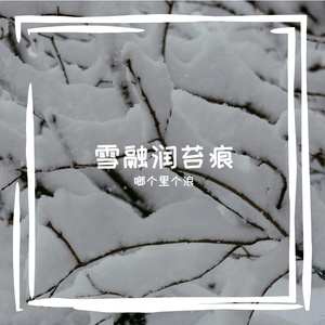 胸郴抛帜厥豪悔