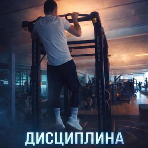 Дисциплина