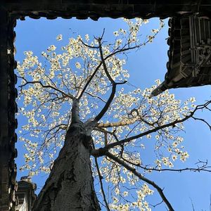 擁 風 的 舊 亭
