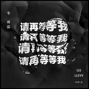请再等等我