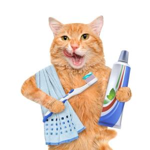 Swaggy (feat. Soldier Artillery & Shaga)