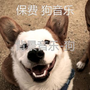 睡狗-服从