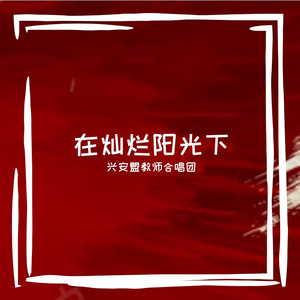 在灿烂阳光下