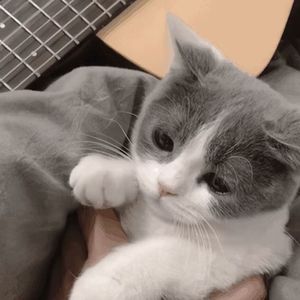 栀子花开（DJ咚鼓版）