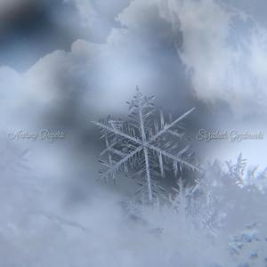 Baby It's Cold Outside (feat. Elizabeth Gozdowski)