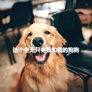 Magnificent Music for Visions