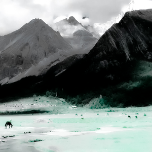 {中国风} Free | 竹