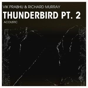 Thunderbird, Pt. 2 (feat. Richard Murray)
