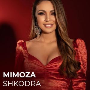 Dallendyshe krahethyer