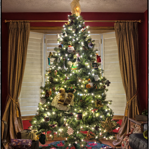 In a Gingerbread House