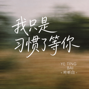 我只是习惯了等你